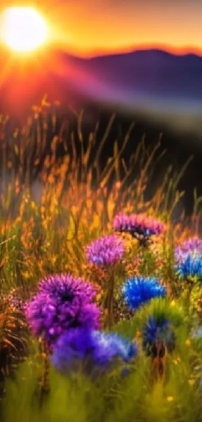 Vibrant sunset over colorful wildflower field