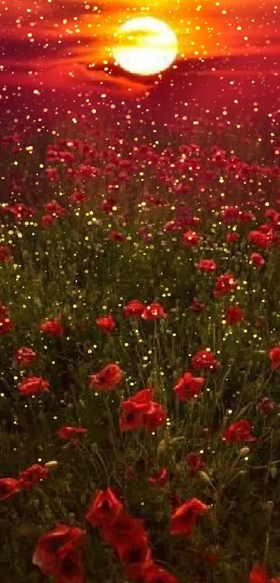 Red poppies in field under sunset sky.