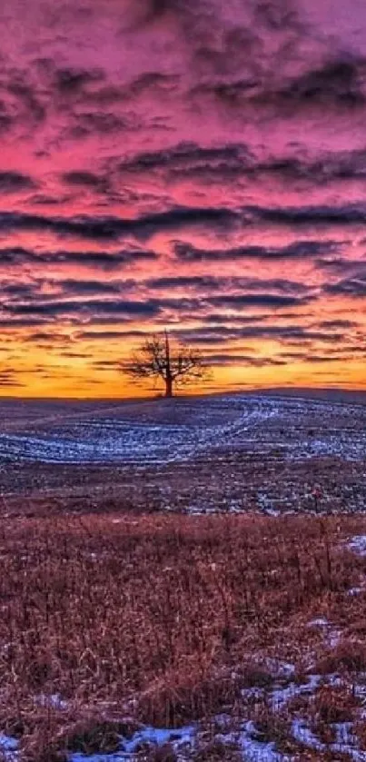 Vibrant sunset over a serene open field with colorful sky.