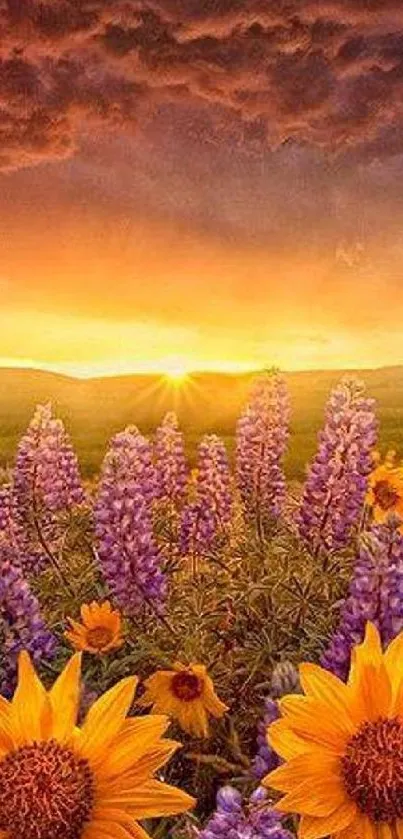 Vibrant sunset over wildflower field with orange and purple hues.