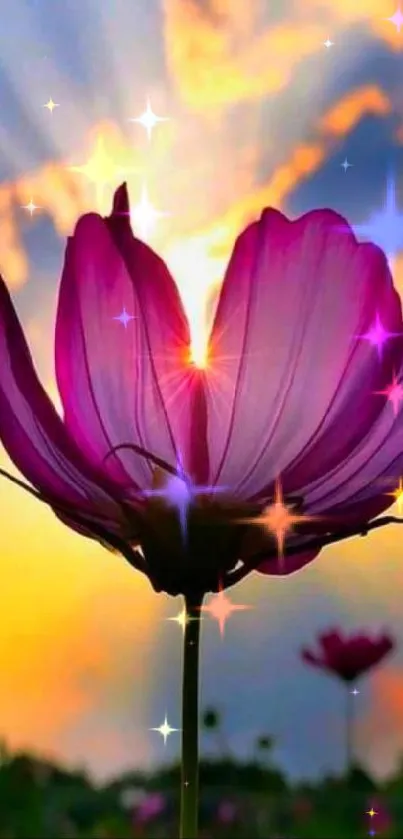 Purple flower against vibrant sunset sky.