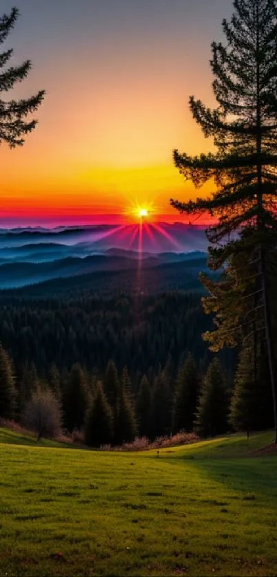 Vibrant sunset over a lush forest landscape with colorful sky.