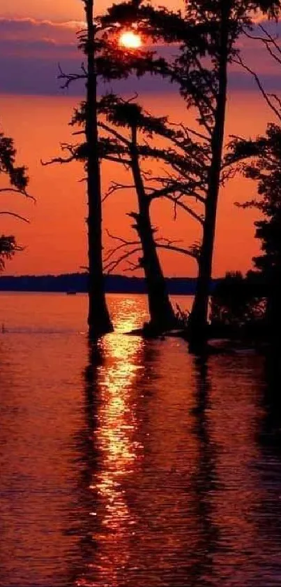 Silhouetted trees reflect in a vibrant sunset over a tranquil lake.