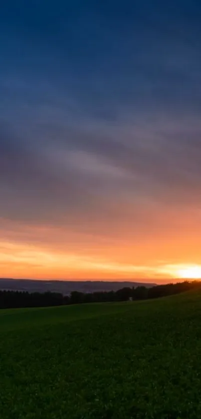 Vibrant sunset over green landscape with tree silhouette.