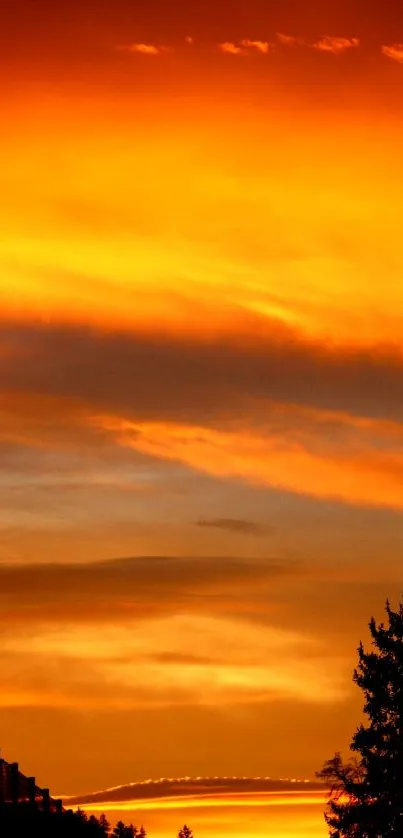 Beautiful sunset landscape with vibrant orange sky and silhouetted trees.