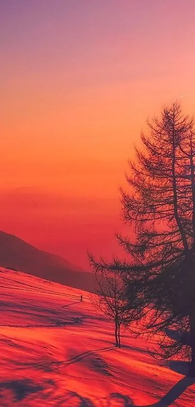 Beautiful vibrant sunset with silhouettes on a snowy landscape.