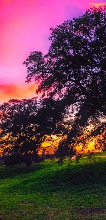 Vibrant sunset landscape with trees silhouetted against a colorful sky.