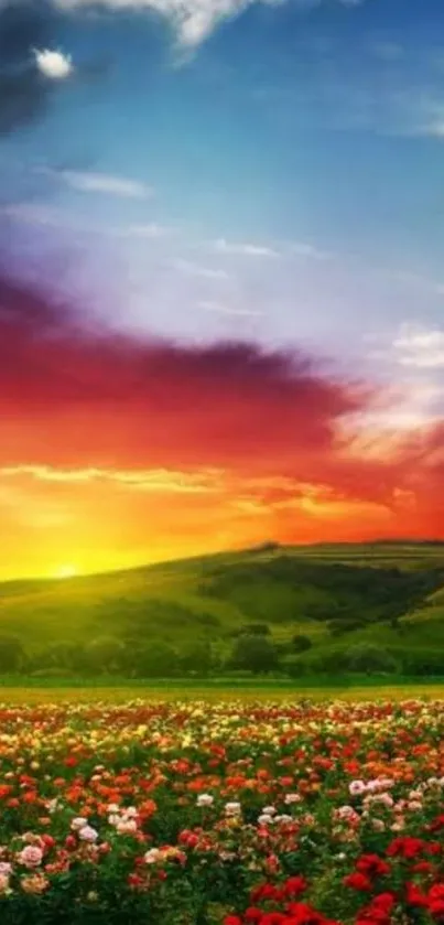 Vibrant sunset landscape wallpaper with colorful sky and flowers.