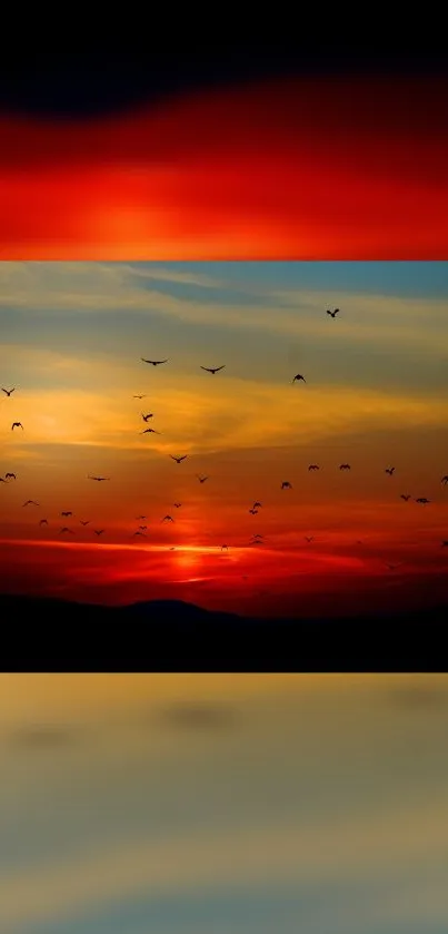 Vibrant sunset with birds in flight against a colorful sky.