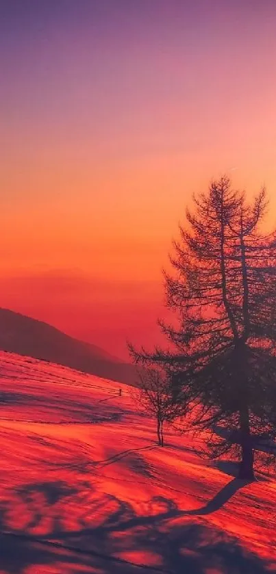Vibrant sunset over snowy mountains with trees and colorful sky.