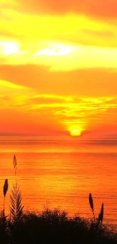 Vibrant sunset over calm ocean with vivid orange hues.