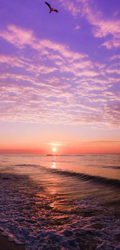 Purple sunset over the ocean with gentle waves and a bird in the sky.