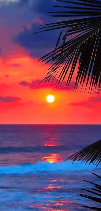 Vibrant sunset over the ocean with palm silhouettes.