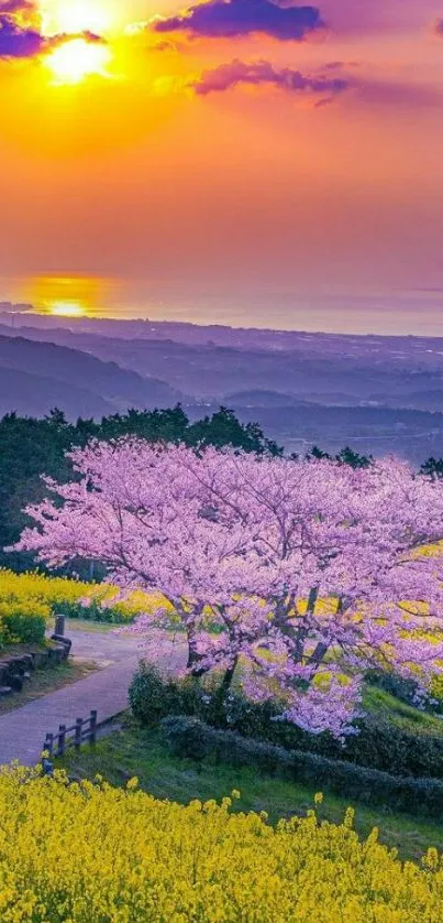 Purple sunset over blooming fields with vibrant colors.