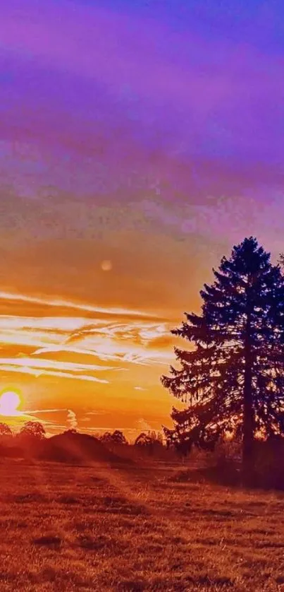 Vibrant sunset with orange and purple sky above tree silhouettes in a field.