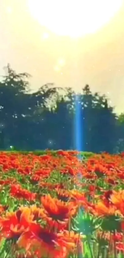 Colorful sunset over a field of orange flowers with sparkling light.