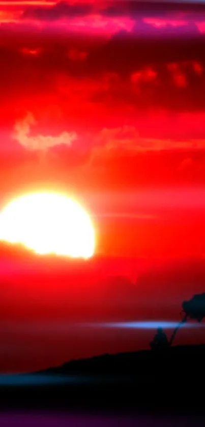 Vivid red sunset with silhouetted trees against a glowing sky horizon.