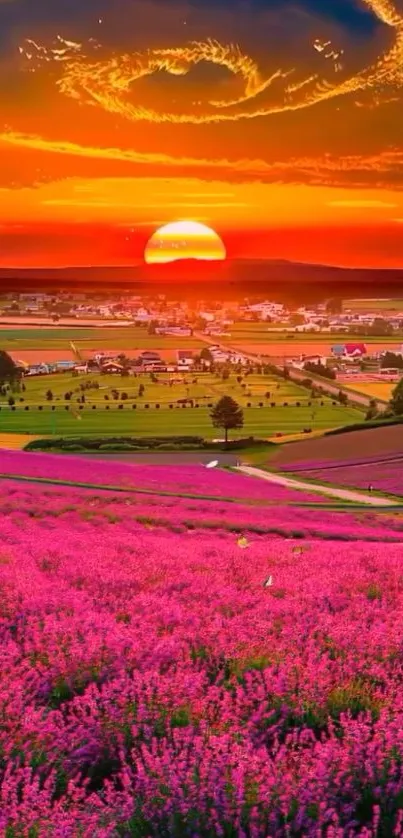 Vibrant sunset over lavender fields with colorful sky and lush landscape.