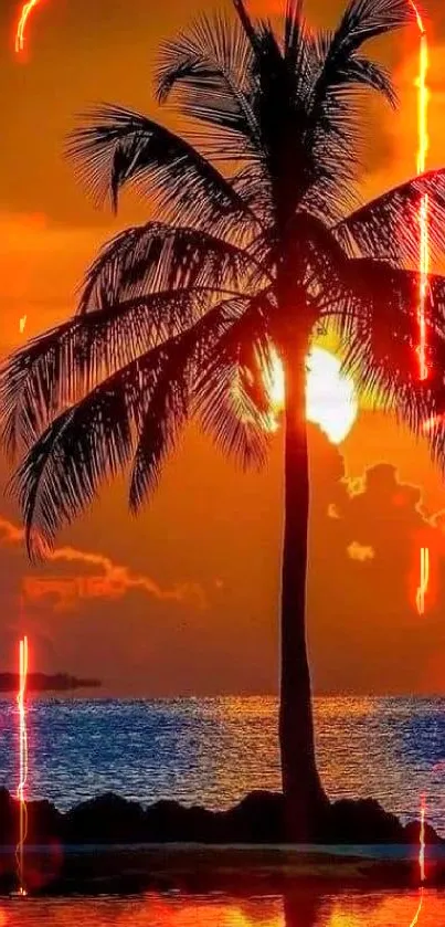 Stunning sunset with palm tree silhouetted against vibrant orange sky over ocean.