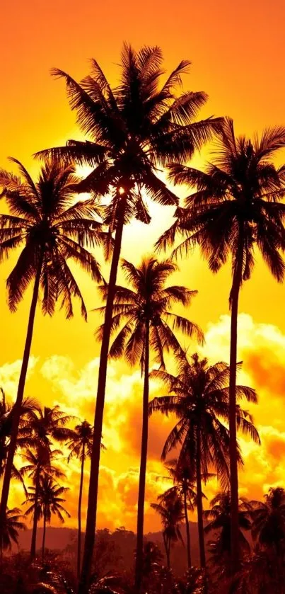 Mobile wallpaper of palm trees at sunset in vibrant orange hues.