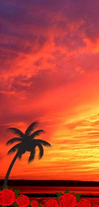 Vibrant sunset with palm silhouette and colorful sky.