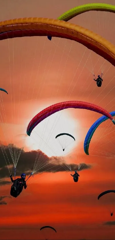 Paragliders float against a vibrant sunset sky with colorful canopies.