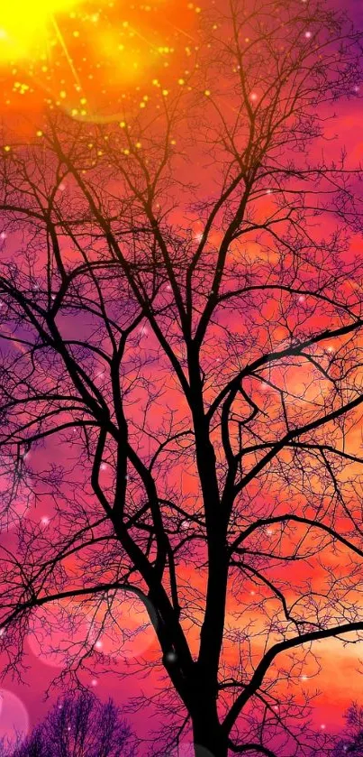 Vibrant sunset with tree silhouettes against a purple-orange sky.