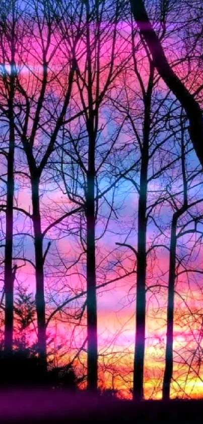 Silhouette of trees against a vibrant sunset background.