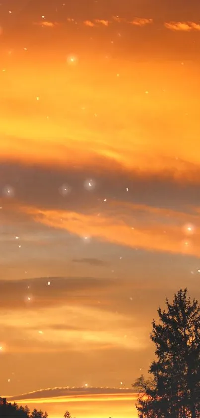 Vibrant sunset with silhouetted trees and orange sky.