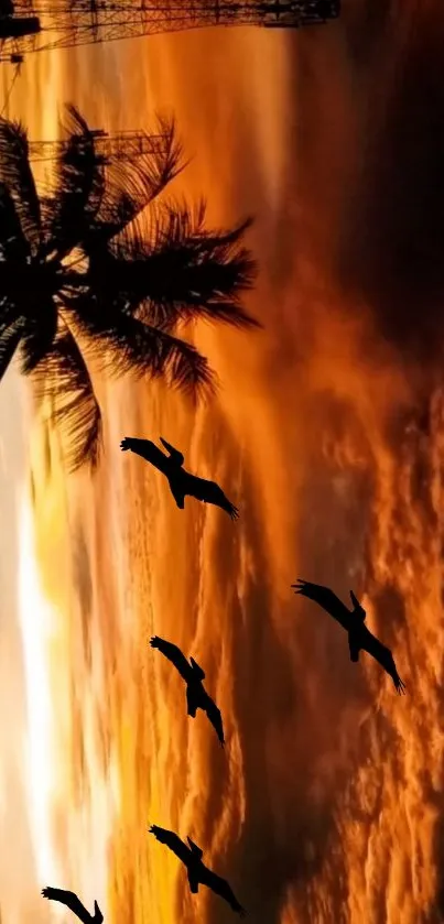 Vibrant sunset with silhouettes of palm trees and flying birds.