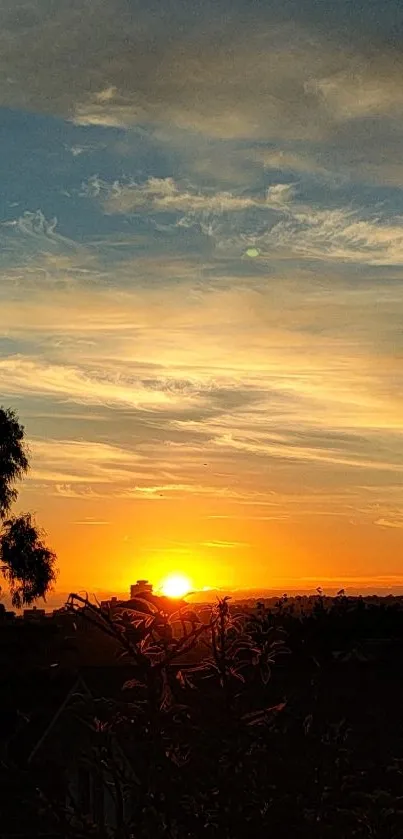 Sunset sky with orange and blue hues, silhouetted trees.