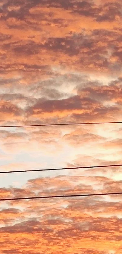 Orange and pink sunset clouds with electric lines across the sky.