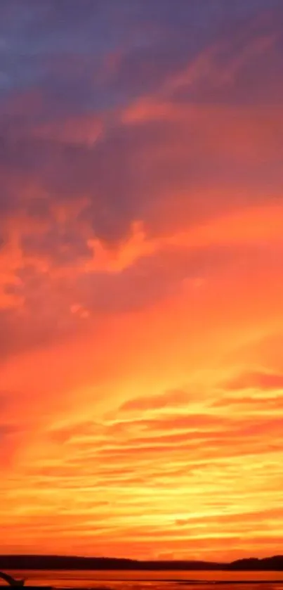 Vibrant orange sunset sky with purple hues and a flying bird in the foreground.