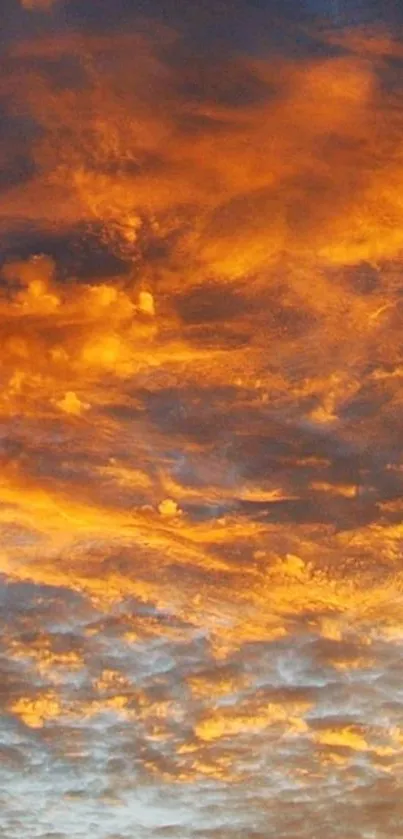 Sunset sky with vibrant orange clouds creating a warm and serene atmosphere.