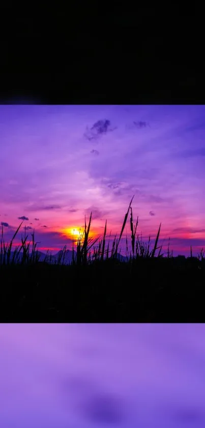 Vibrant sunset mobile wallpaper with purple and pink sky.