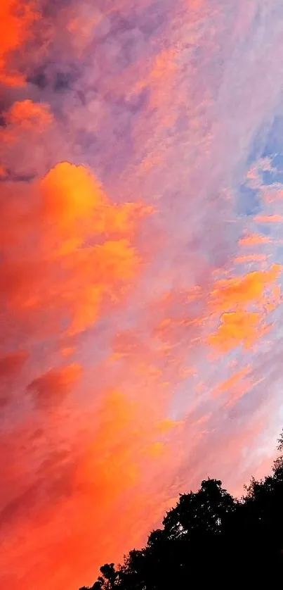 Vibrant orange and purple sunset sky with clouds.