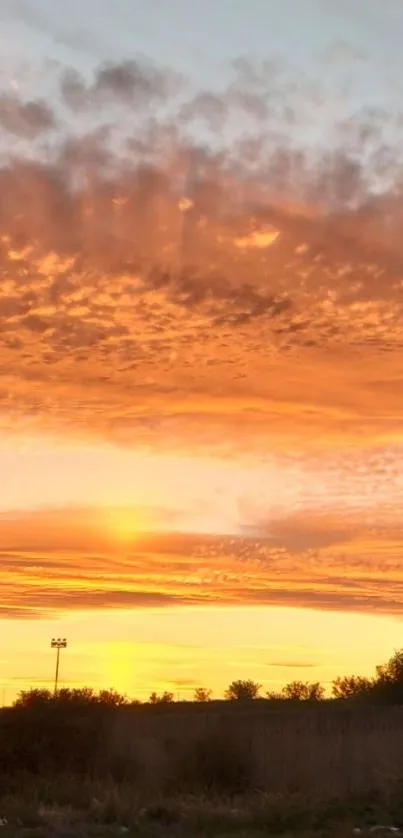 Vibrant sunset sky with orange clouds and silhouetted landscape.