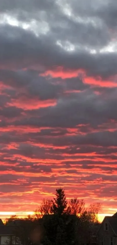 Vibrant red sunset skyline with clouds and silhouettes of houses and trees.