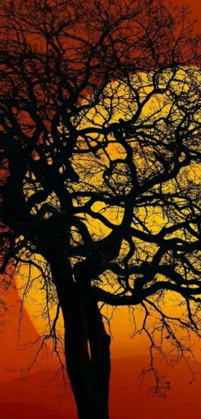 Silhouette of a tree against an orange and yellow sunset background.