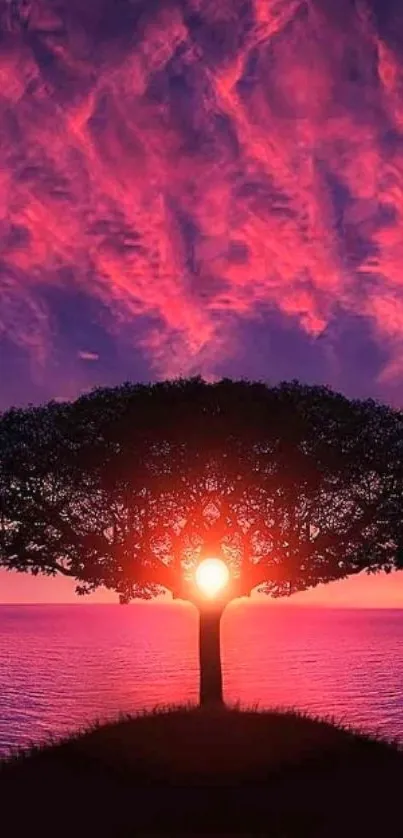 Silhouette of a tree against a vibrant pink sunset over the ocean.