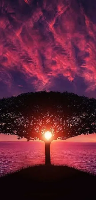 Solitary tree against a vibrant crimson sunset over the ocean.