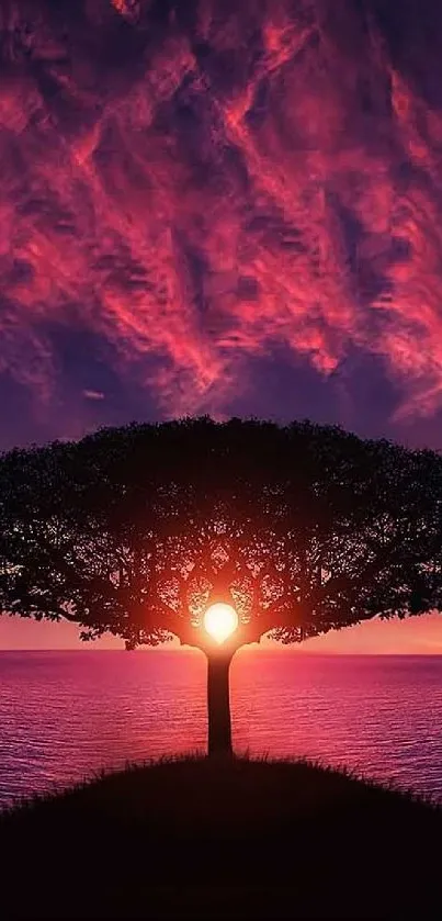 Tree at sunset with vivid red and purple sky over the ocean horizon.