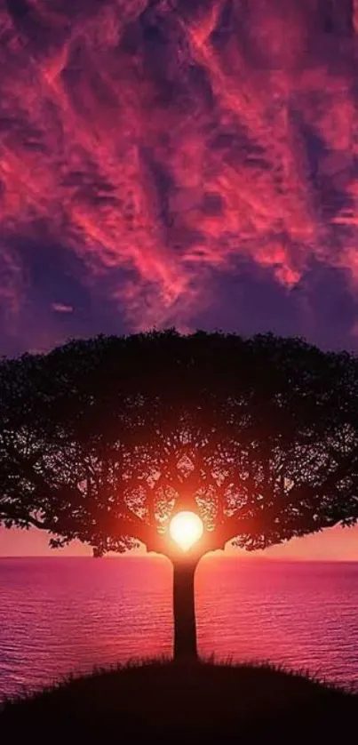 Silhouette of a tree against a vibrant sunset sky over water.