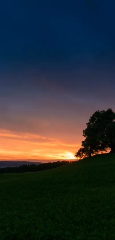 Vibrant sunset with a silhouette of a tree on a grassy hill.