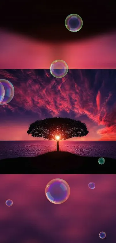 Sunset behind silhouetted tree with bubbles in a vibrant sky wallpaper.