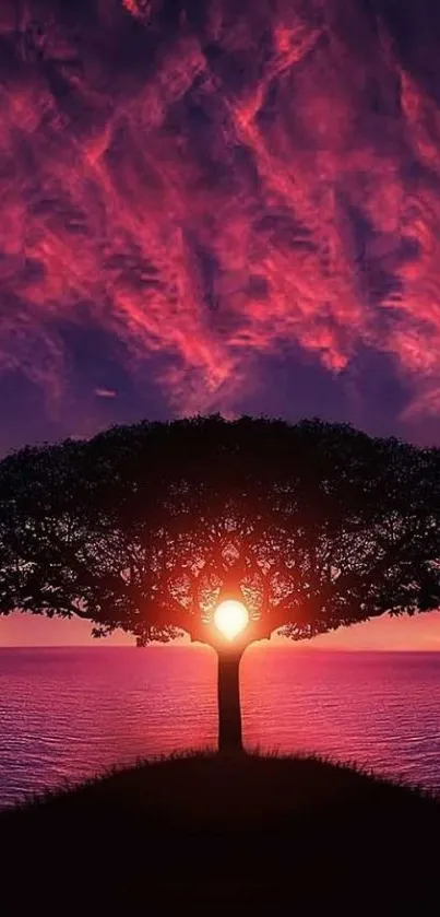 A vibrant sunset sky behind a silhouette tree by the ocean.