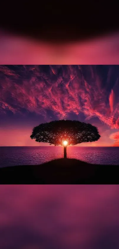 Stunning wallpaper of a solitary tree silhouetted against a vibrant sunset over the sea.