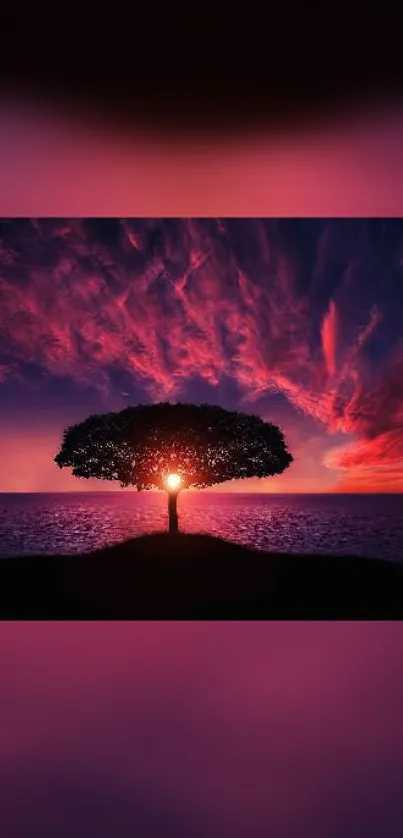 Vibrant sunset over ocean with silhouetted tree.