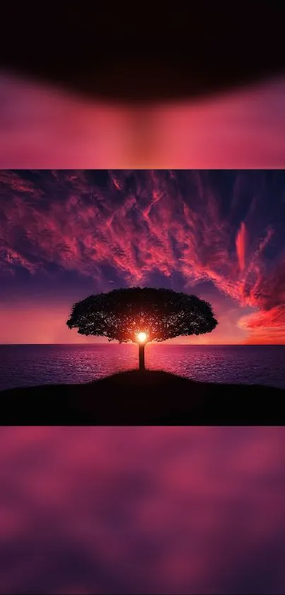 Solitary tree silhouetted against a vibrant crimson sunset.