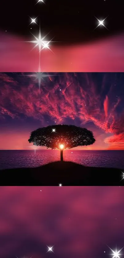 Tree silhouetted against a vibrant sunset with stars in the sky.